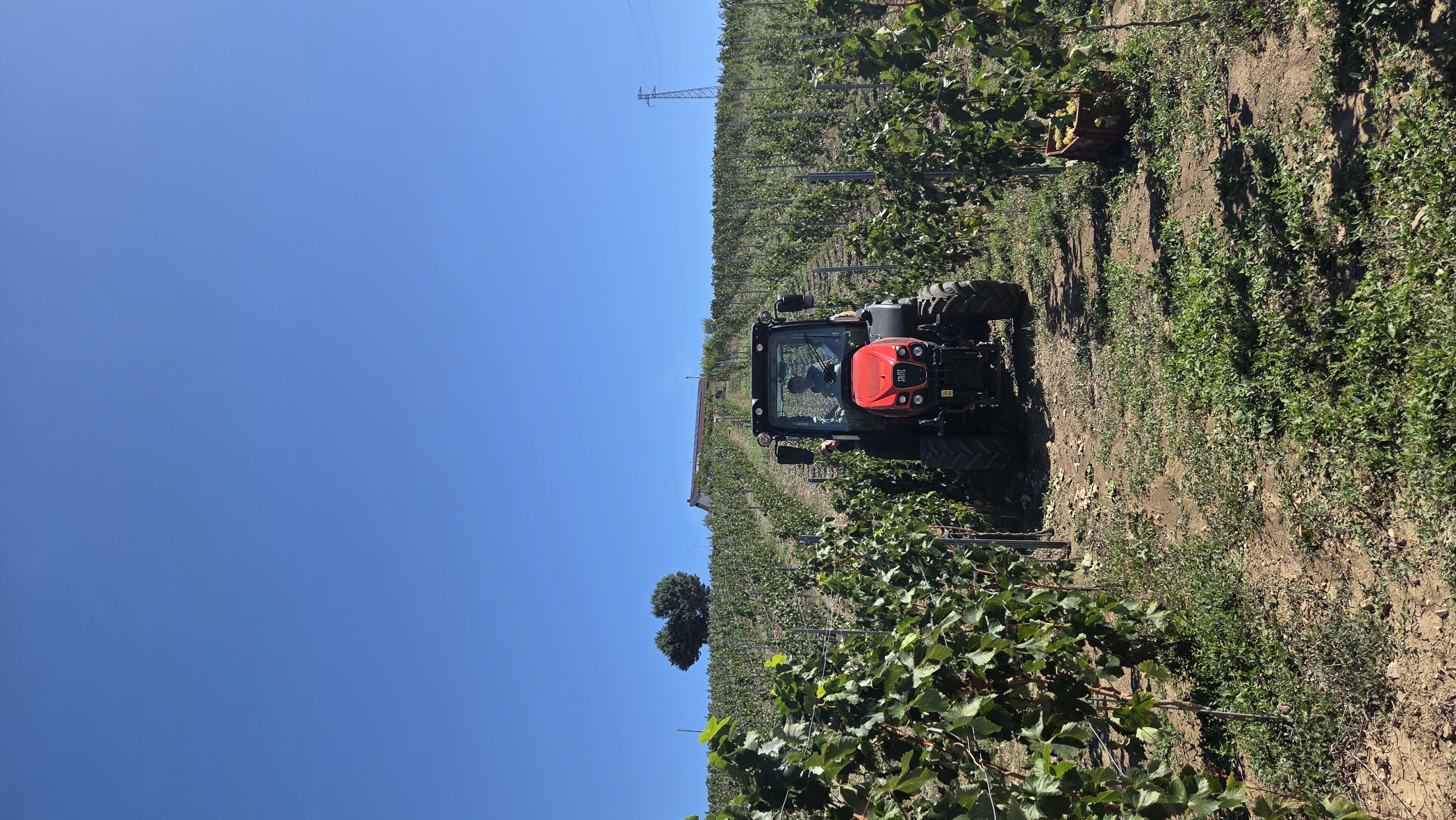 Paesaggio Tito 2
